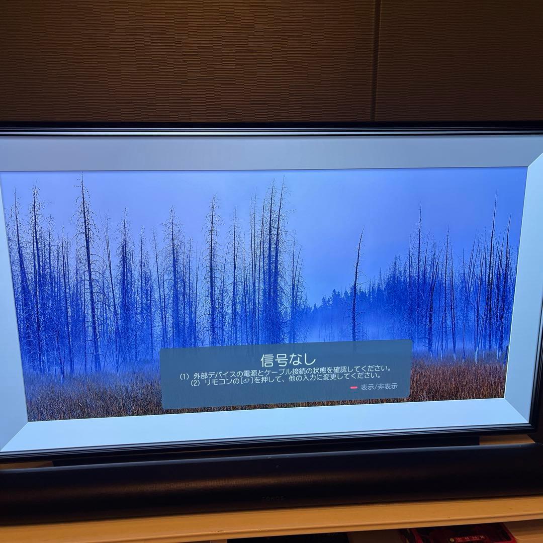 LG 有機ELテレビ55型　OLED55C1PJ8 カネモト