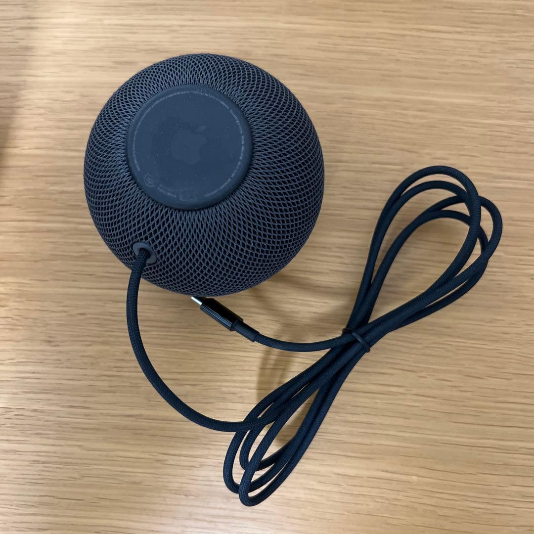 Apple Pod mini スペースグレイ 美品