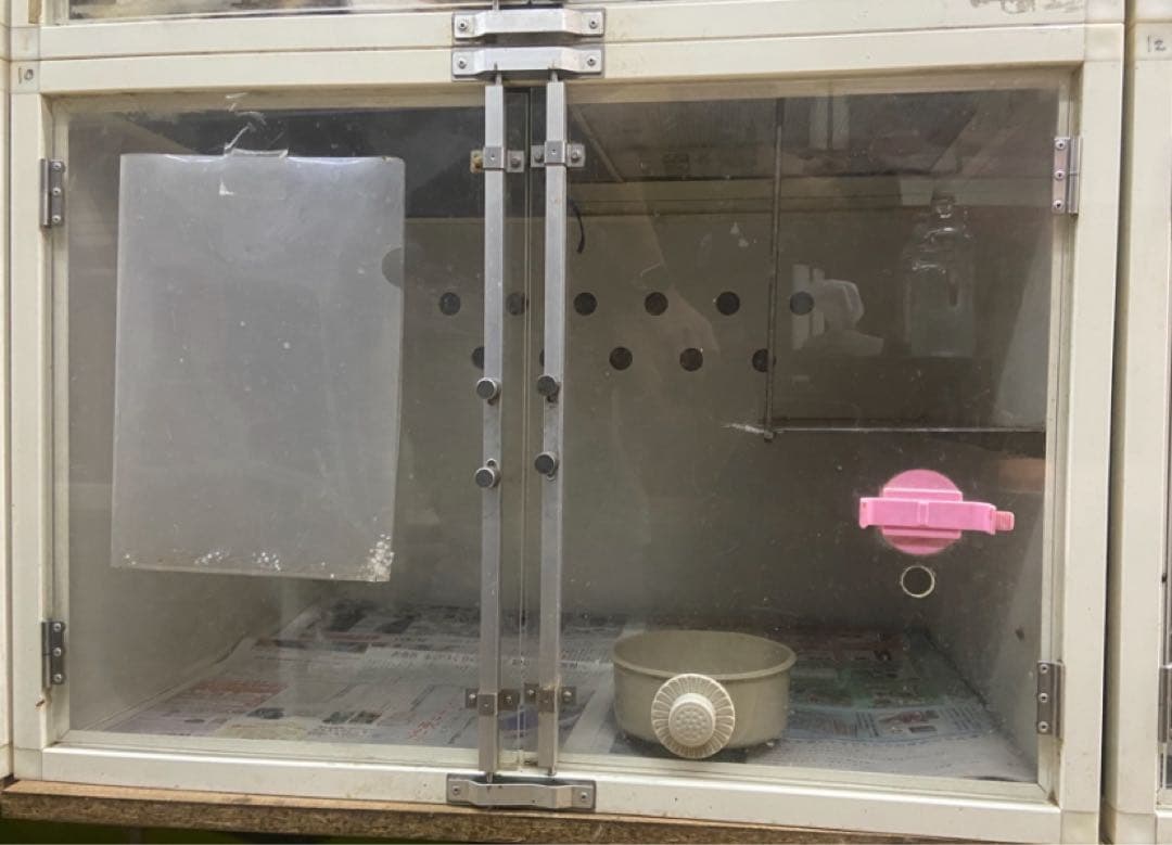 犬舎　猫舎　ハウス