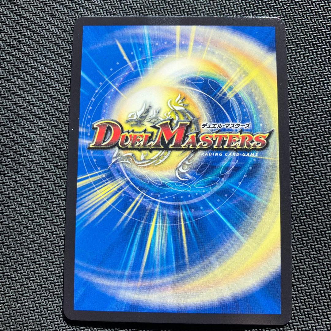 最安値 カラクリバーシ 金トレジャー 4枚