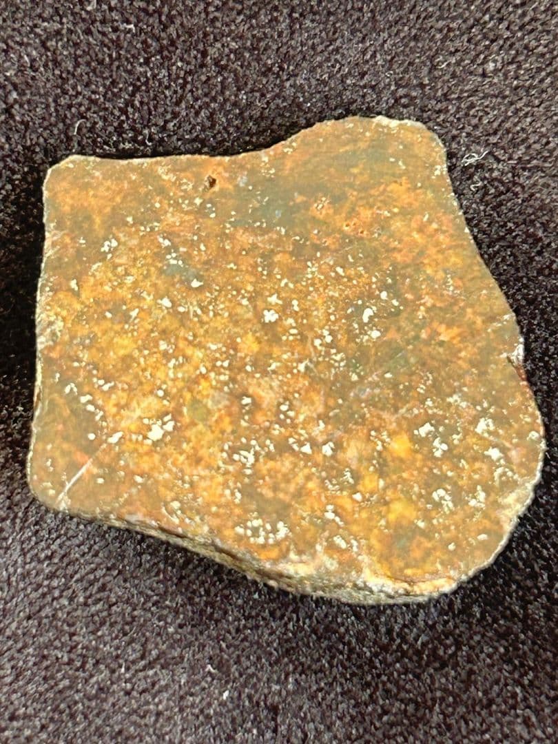 コンドライト隕石L5-6 鑑別書付き モロッコ産