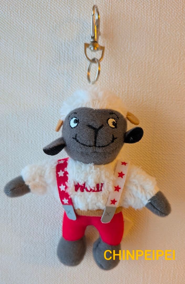 Wolli　ウォーリー　スイス　BTS JUNG KOOK　イゲマジャ