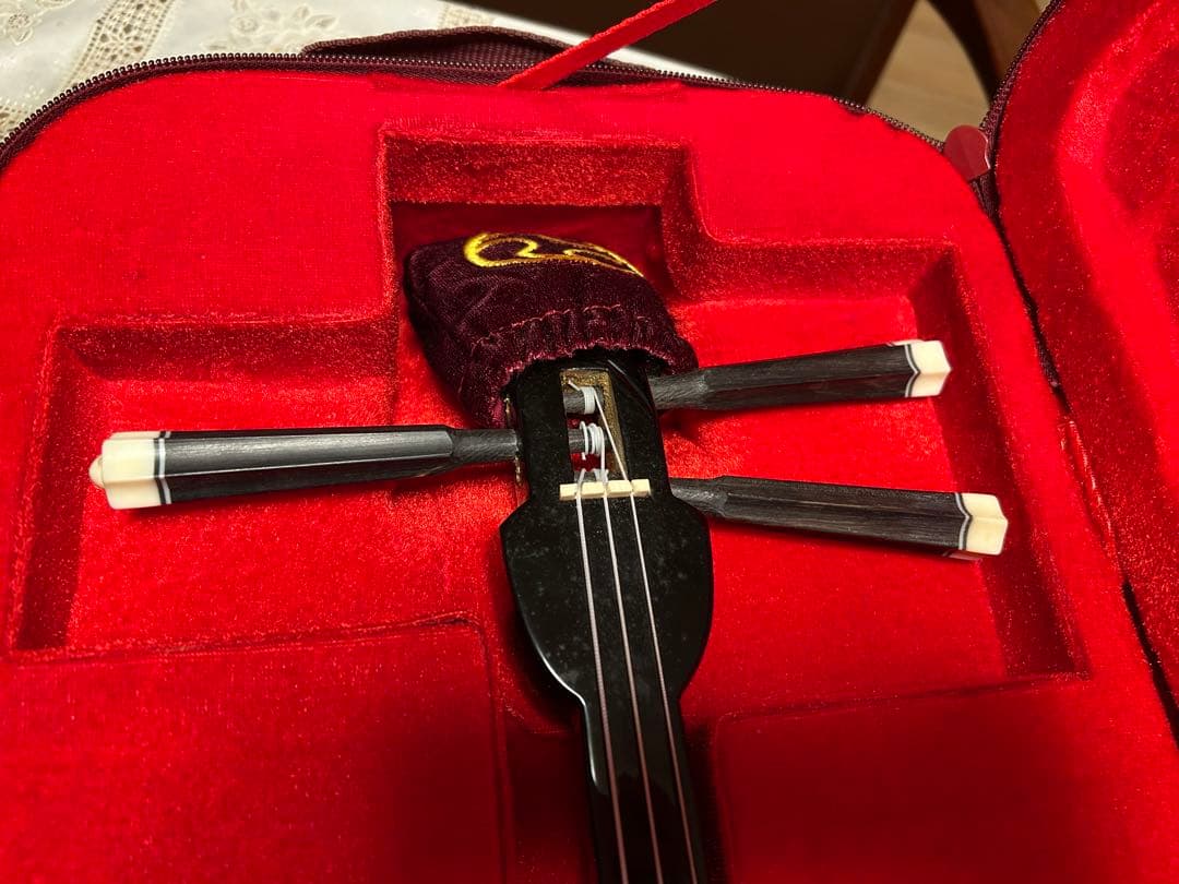 三線 ヘビ柄 赤いケース付き