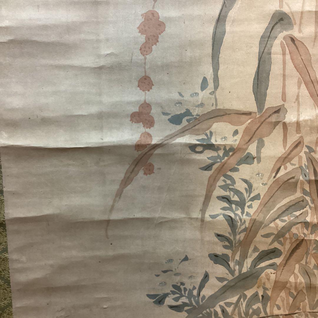 柳澤淇園　　紙本彩色画　茶掛軸　【　粟　に　鶉　図　】　肉筆画　　模写　NO39