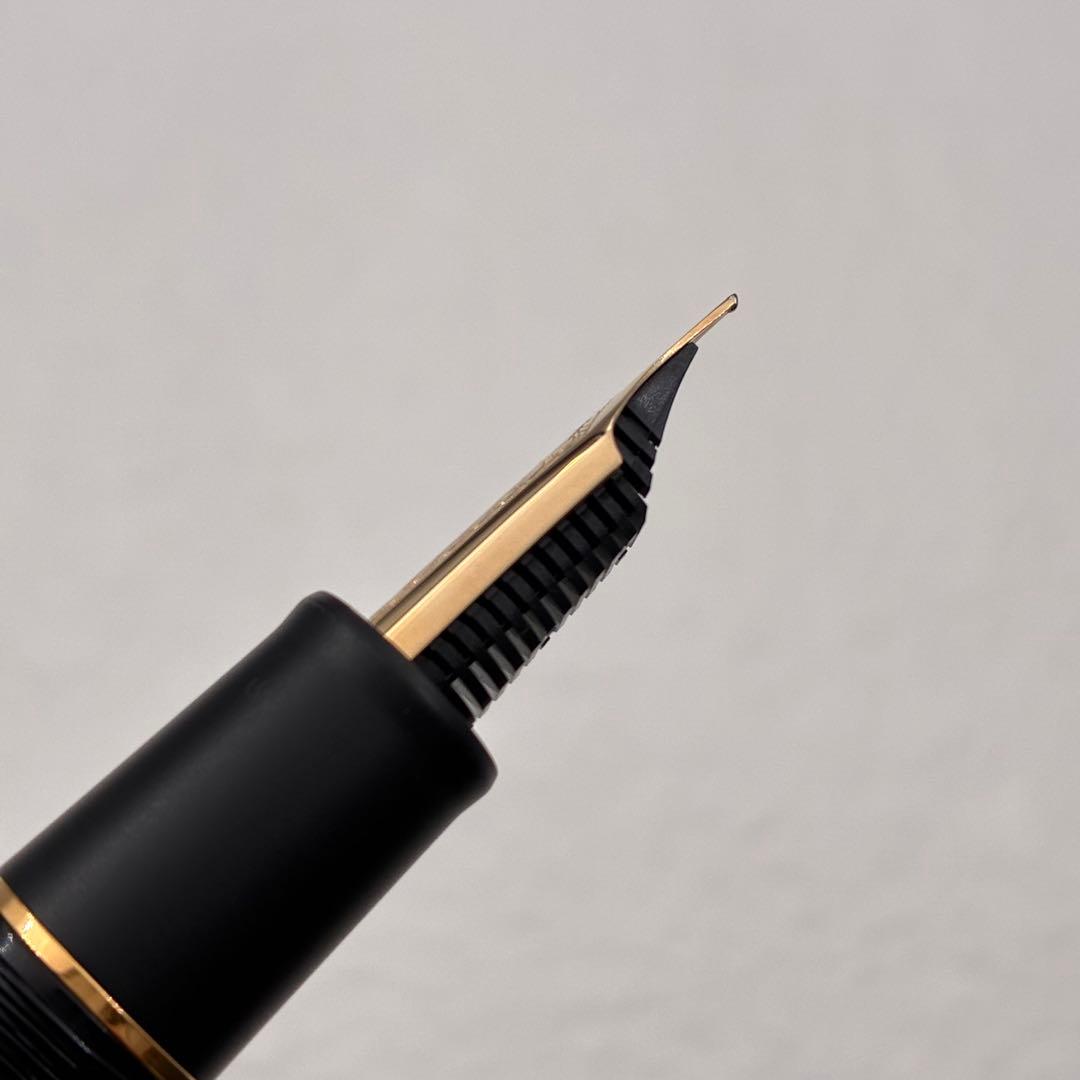 SAILOR セーラー万年筆 プロフィット ガルーシャ 21K M