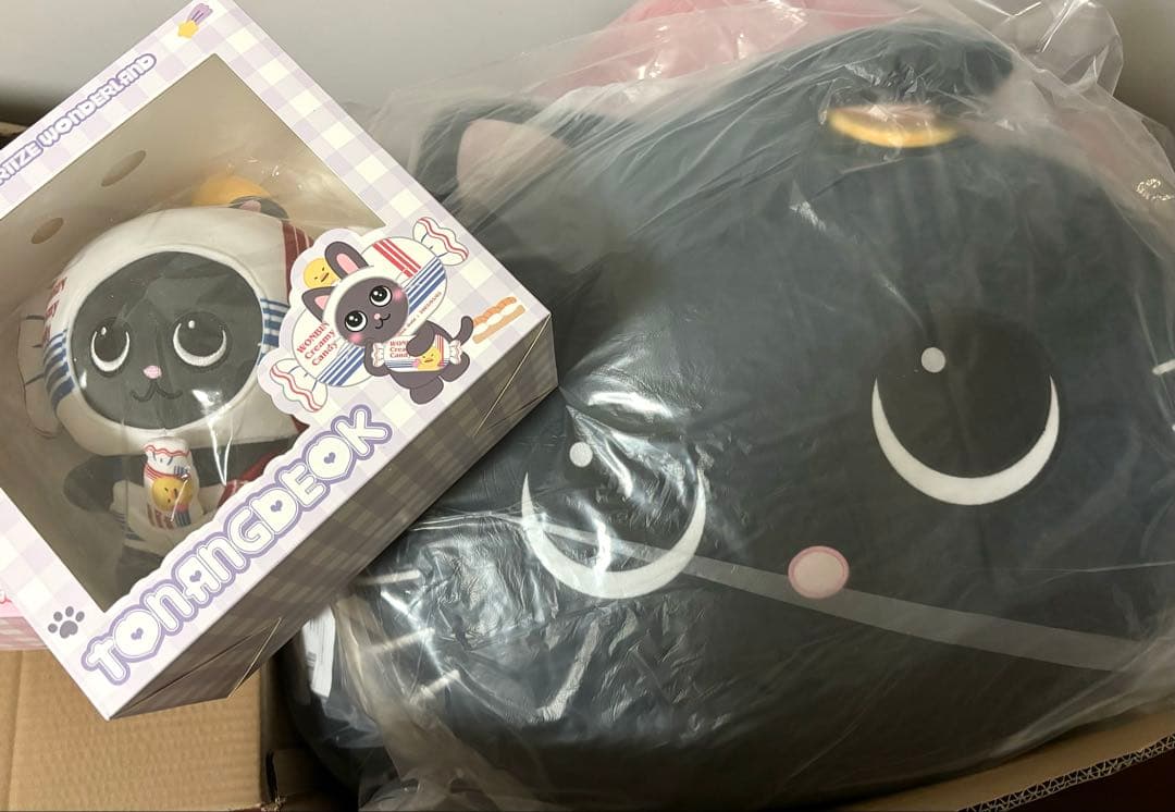 RIIZE wonbin ウォンビン バッグ 中国限定