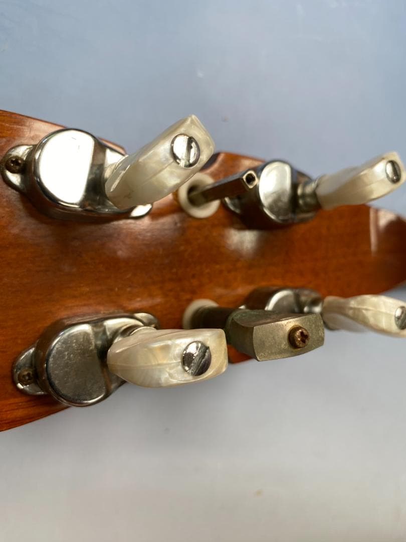 Y*a様 ★値下★5弦バンジョー pirlesスクラッグスチューナー ケース付（