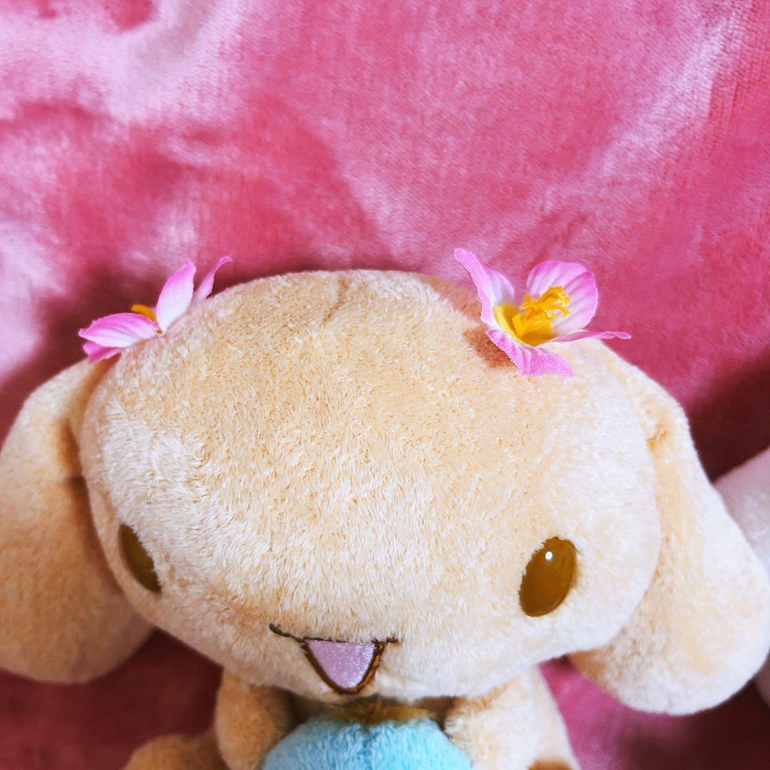 希少レア　シナモロール　モカ　サマードール　ぬいぐるみ　2005 サンリオ