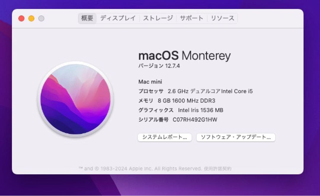 Apple Mac mini (Late2014) アドバンスバージョン SSD