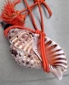 ほら貝・山伏・和楽器（オレンジ紐付き）