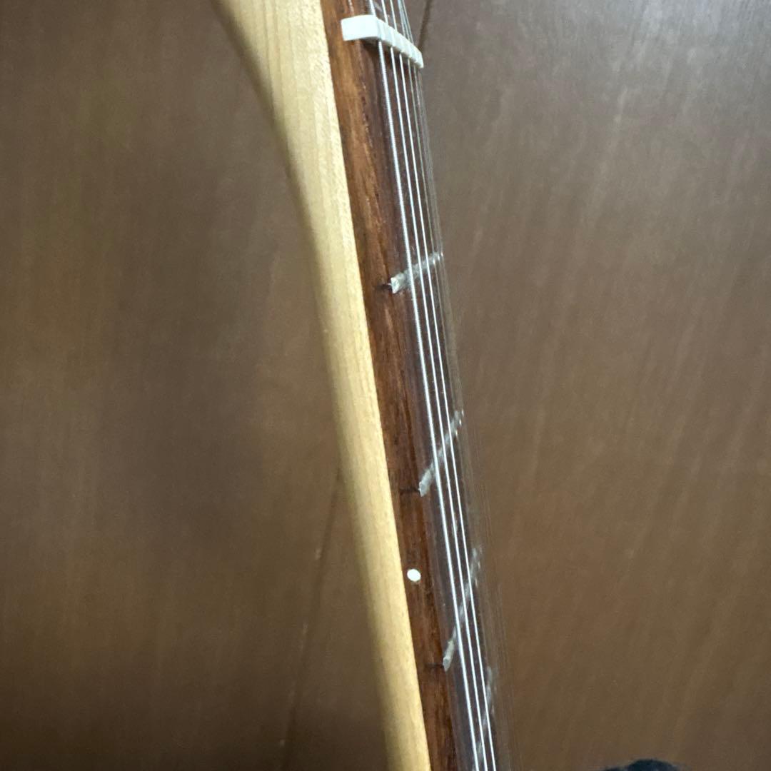 Bacchusテレキャスタータイプ キャンディアップルレッド