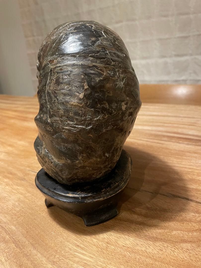 アンモナイト化石　特大サイズ