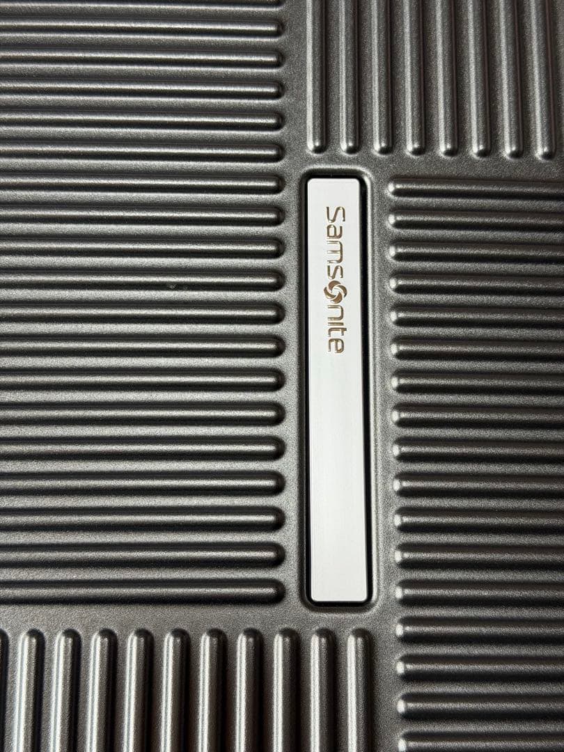 サムソナイト Samsonite スーツケース REXA 拡張タイプ 大型