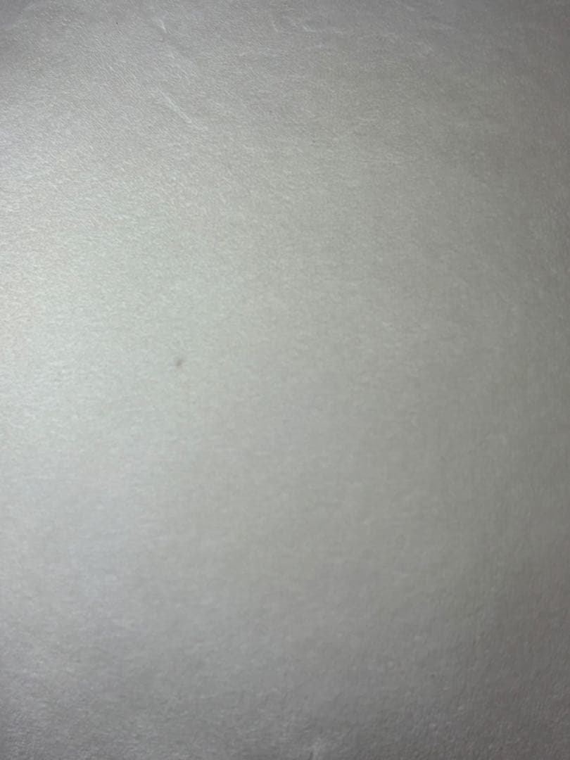 コリラックマ　くったりぬいぐるみ　特大　サンエックス　約９０cm