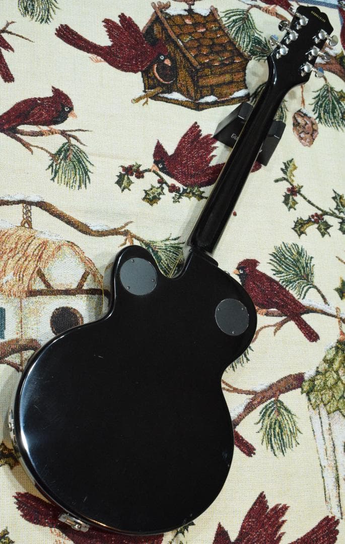 Epiphone WILDKAT TB 純正ハードケース付