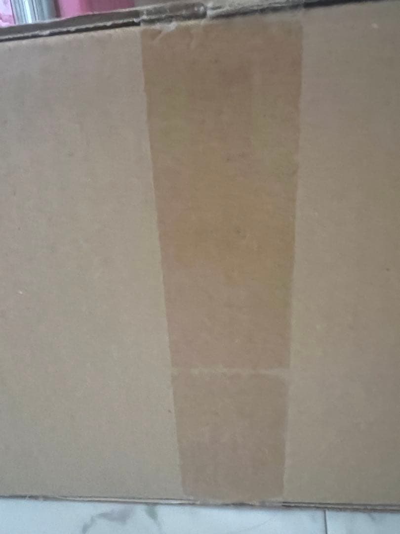 R*✨様 【正規品】Labubu Big into Energy ラブブ シーク