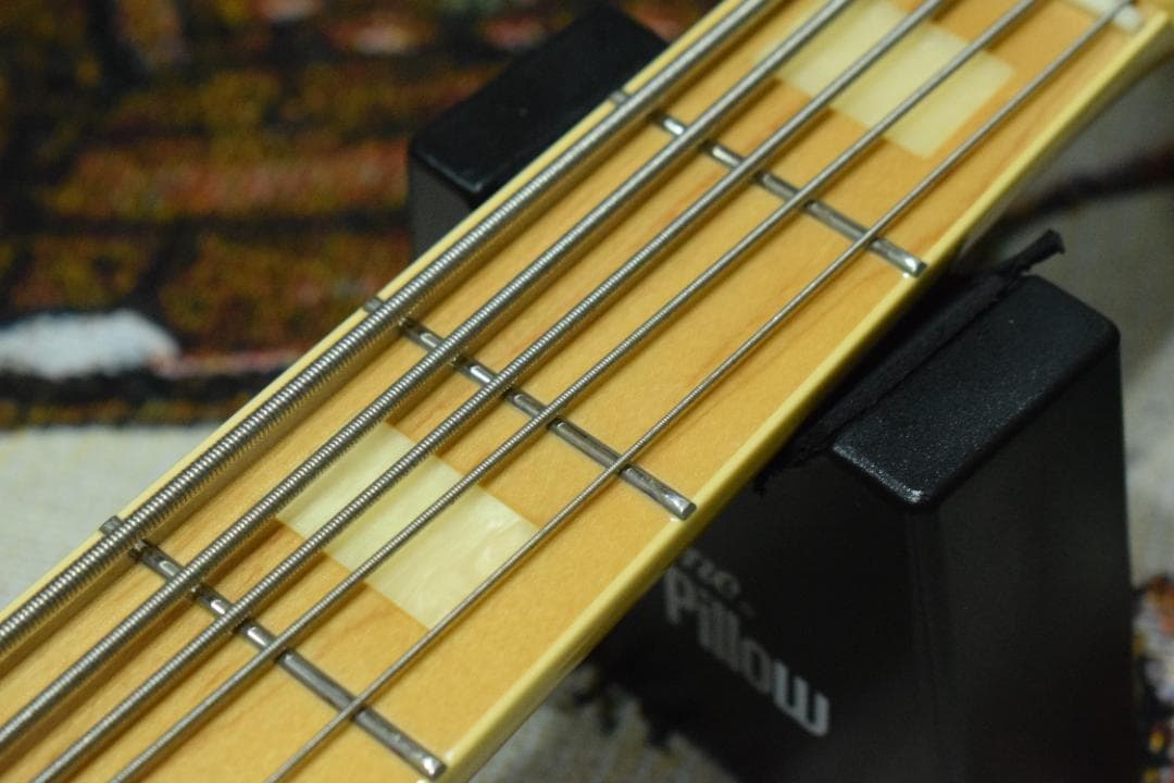 FGN NJB10MBAHV-SBB/01 5弦 状態良好 ケース付