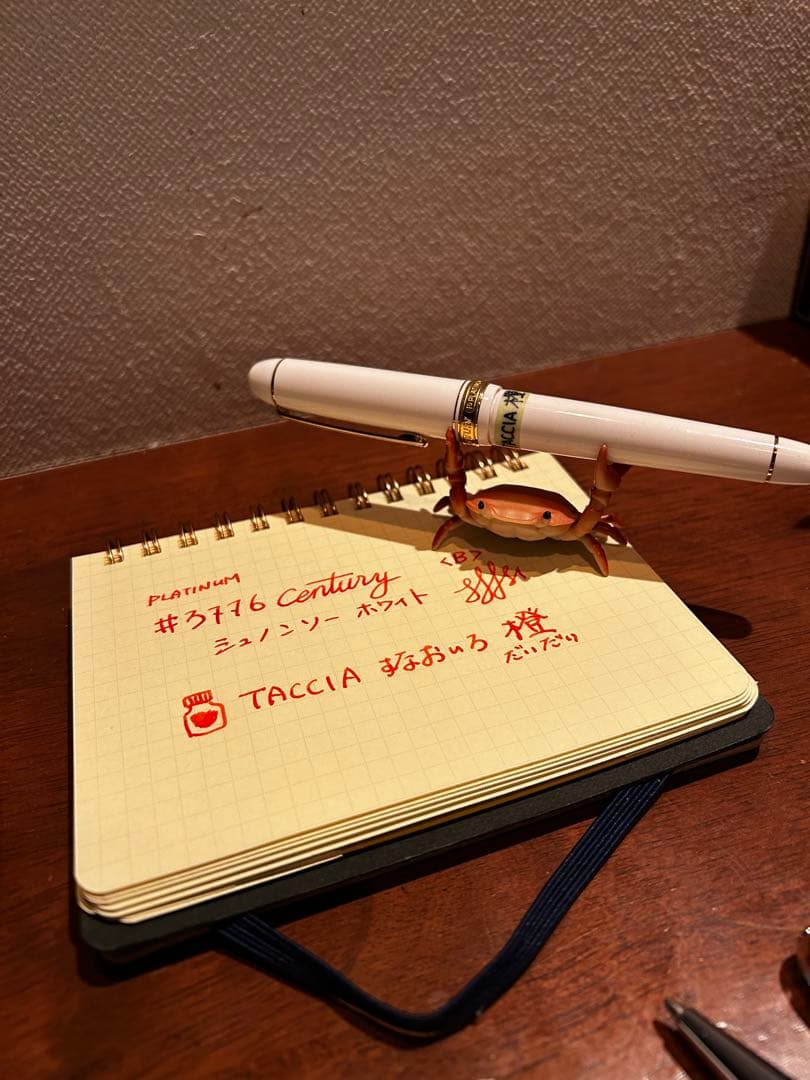 【コンバーター付き】＃3776センチュリー 万年筆 Ｂ太字 シュノンソーホワイト