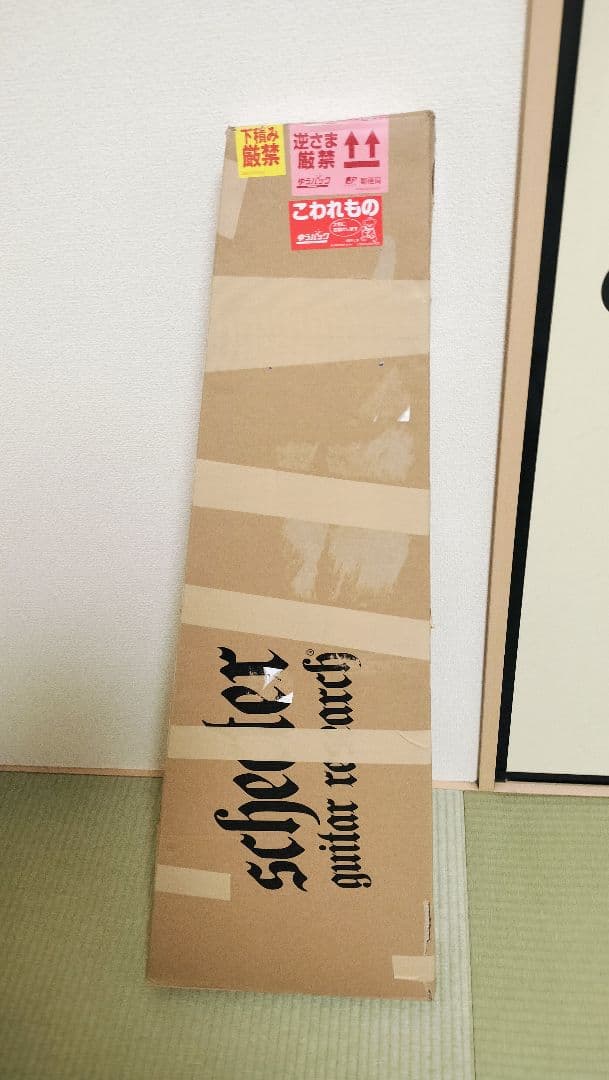 Schecter Deluxe 7弦ギター（カスタム＆調整済み）