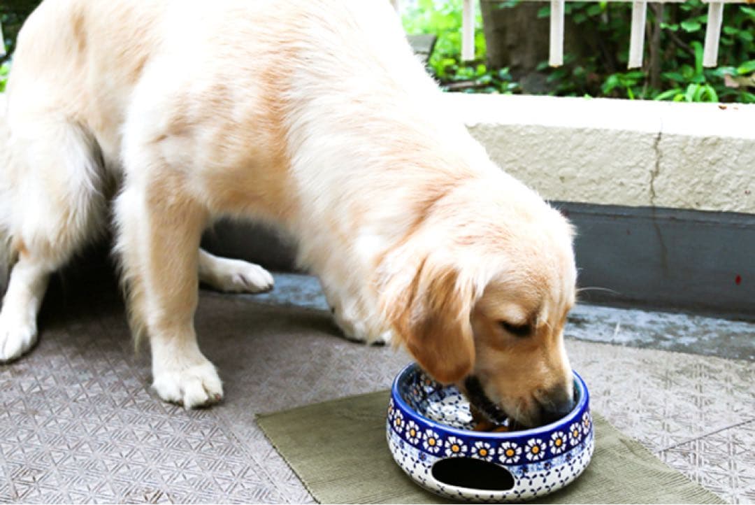 ポーリッシュポタリー Ceramika ペットボウル　犬　DOG