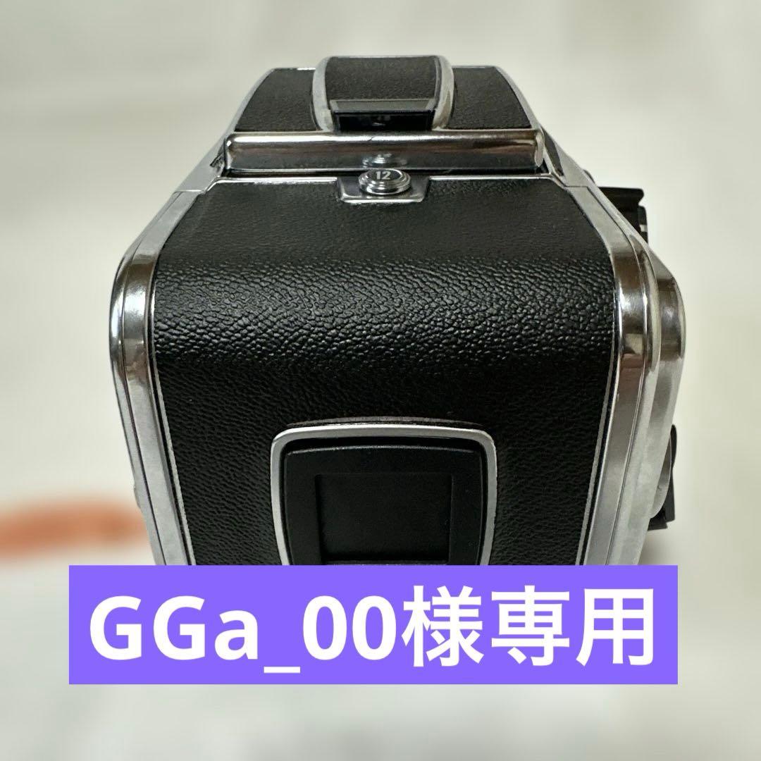 フィルムカメラ GGa_00