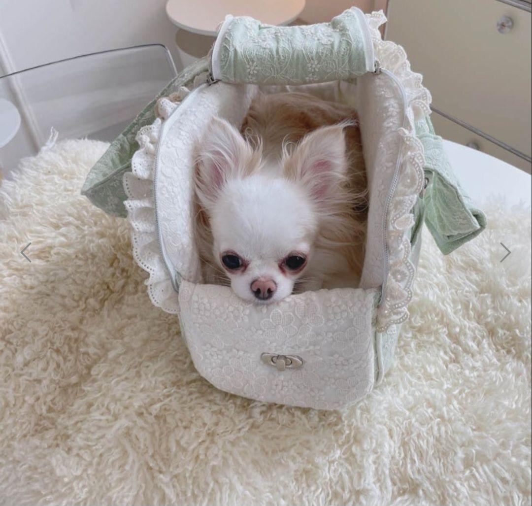 BABIANA バビアナ　キャリーバッグ　スリング　+クッション+幅広ショルダー