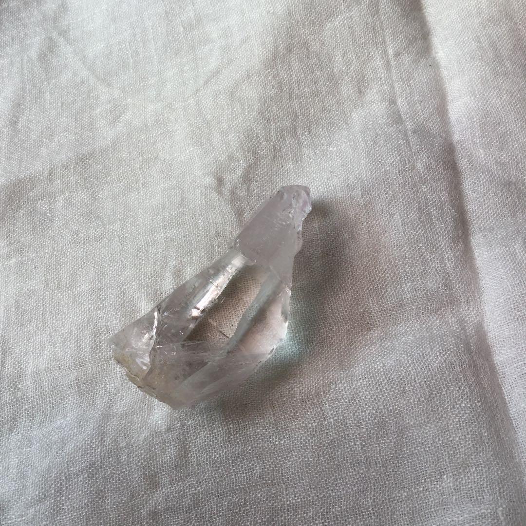 ヒマラヤンセプターエレスチャル