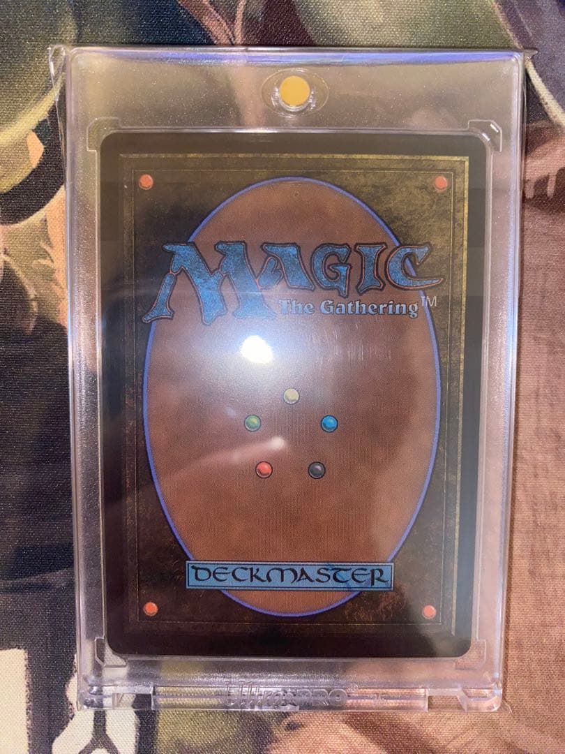 j*n様 【英語 継承史foil】セシル・ハーヴィ