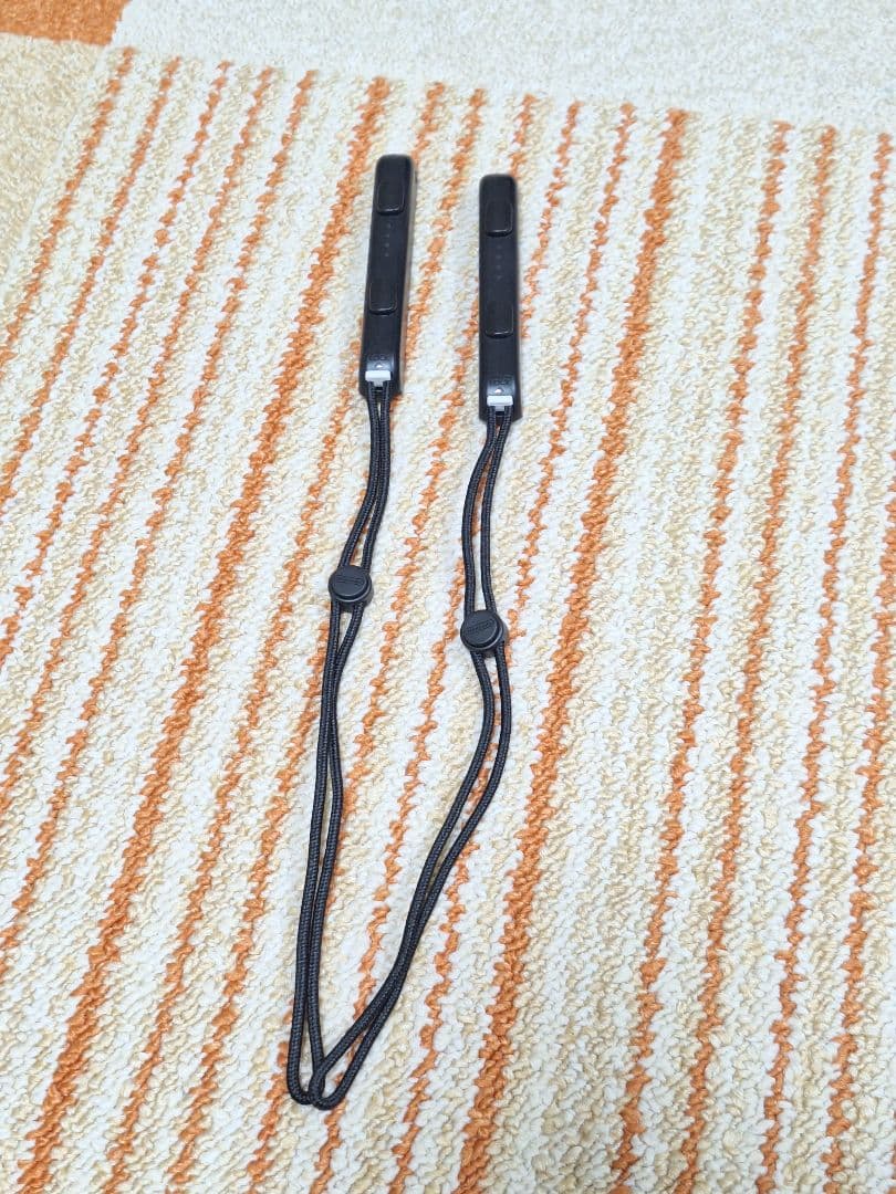 Nintendo Switch 本体、 ホリパッドミニ