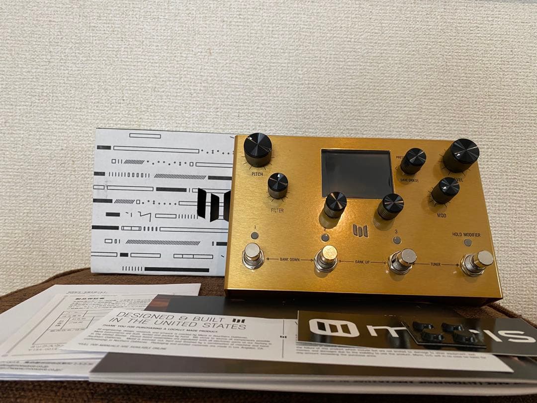 ギター Meris Enzo X