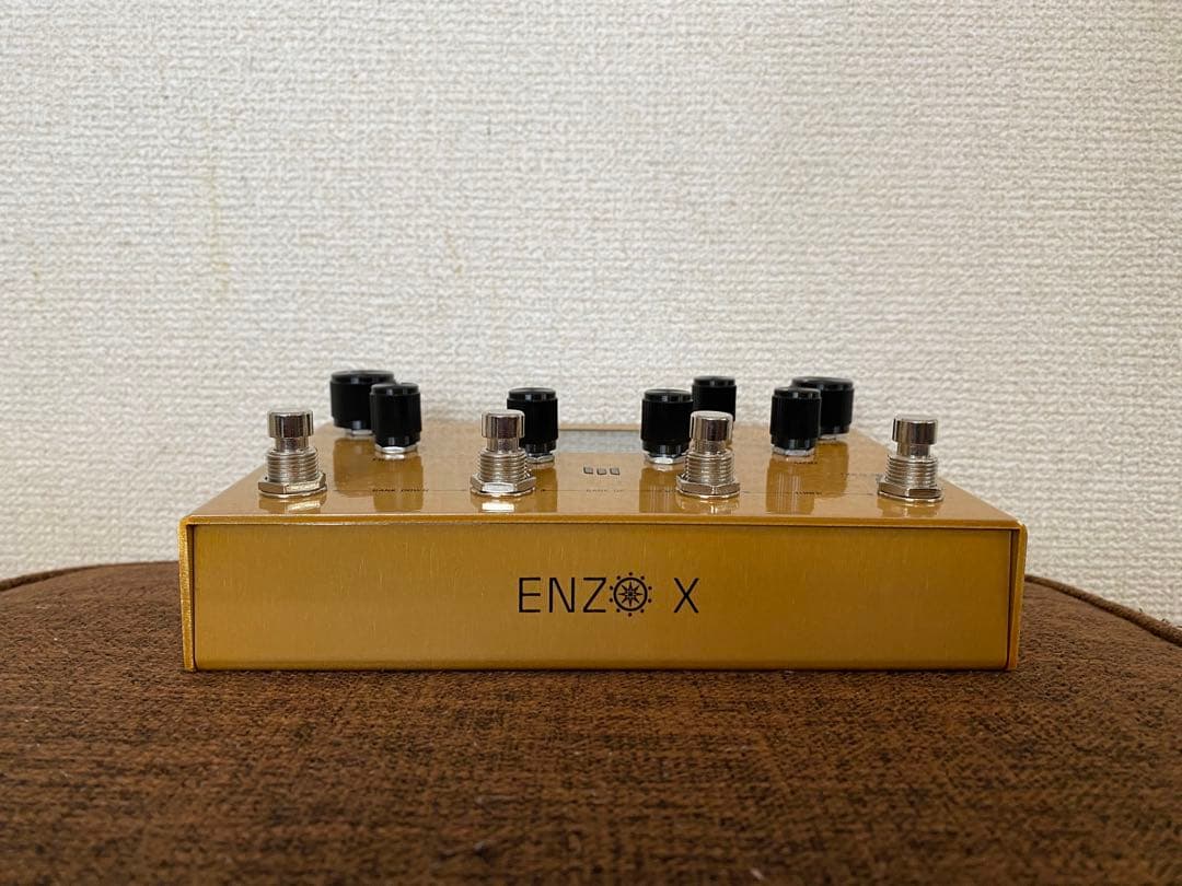 ギター Meris Enzo X