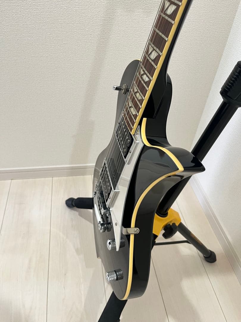 ギター FERNANDES RAVELLE STEELER