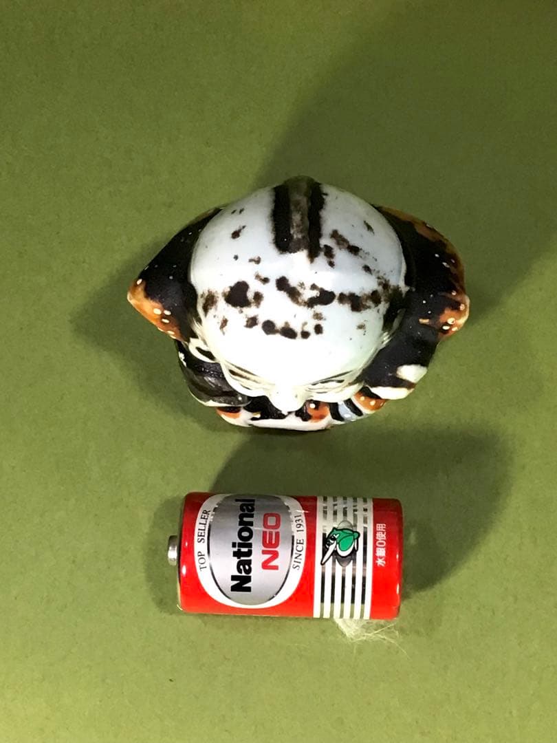 明治期 縁起物 福助 出目金 磁器 人形 戦前 アンティーク ドール 郷土玩具