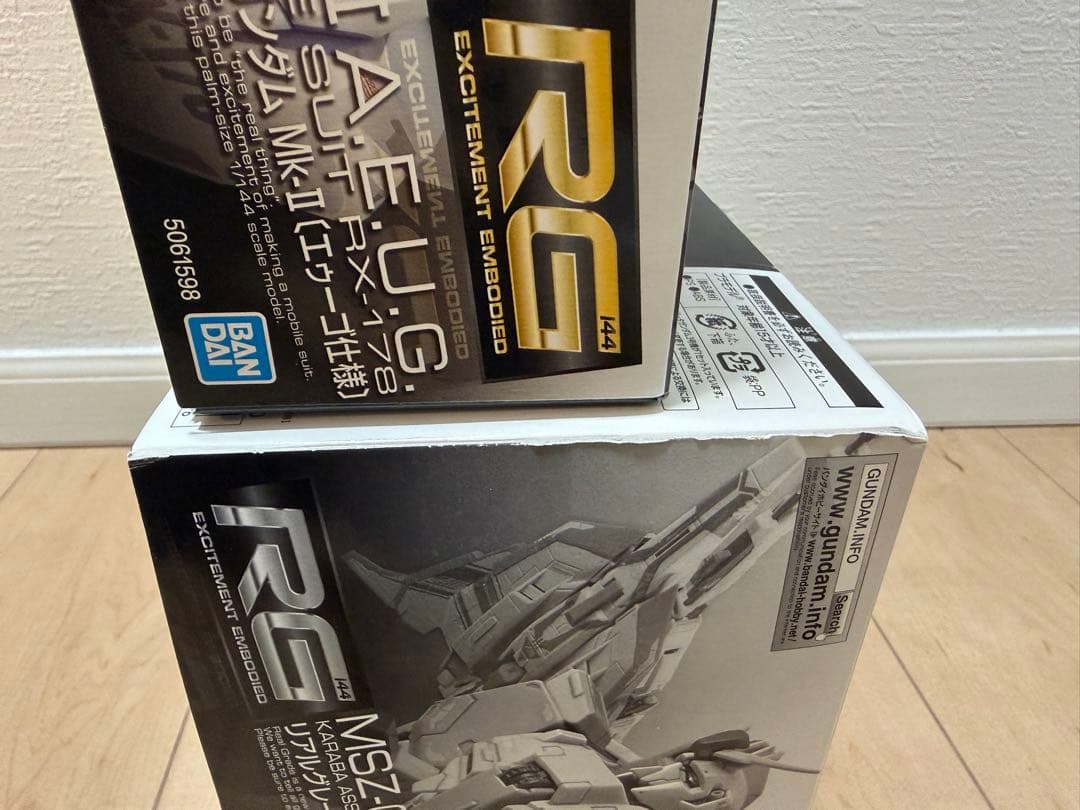 本日限定　RGガンプラ2体セット