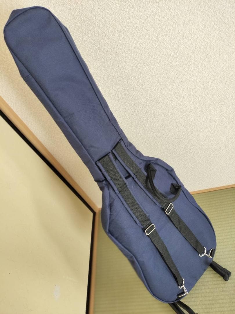 Epiphone Les Paul Special VE 美品 ギグバッグ付