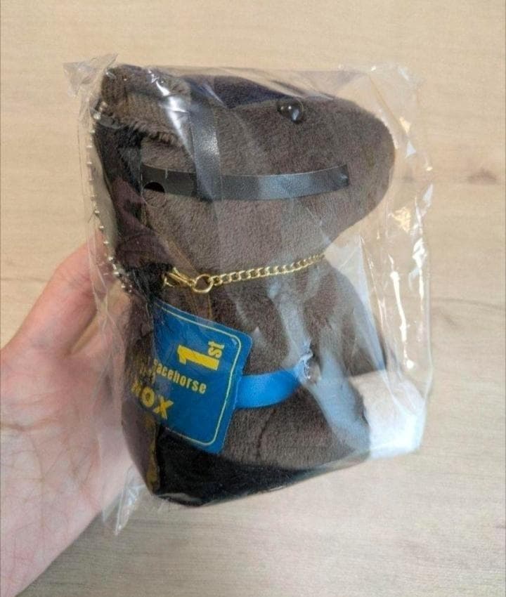 アイドルホース　JRA70周年　イクイノックス　特別ゼッケン 　競馬グッズセット