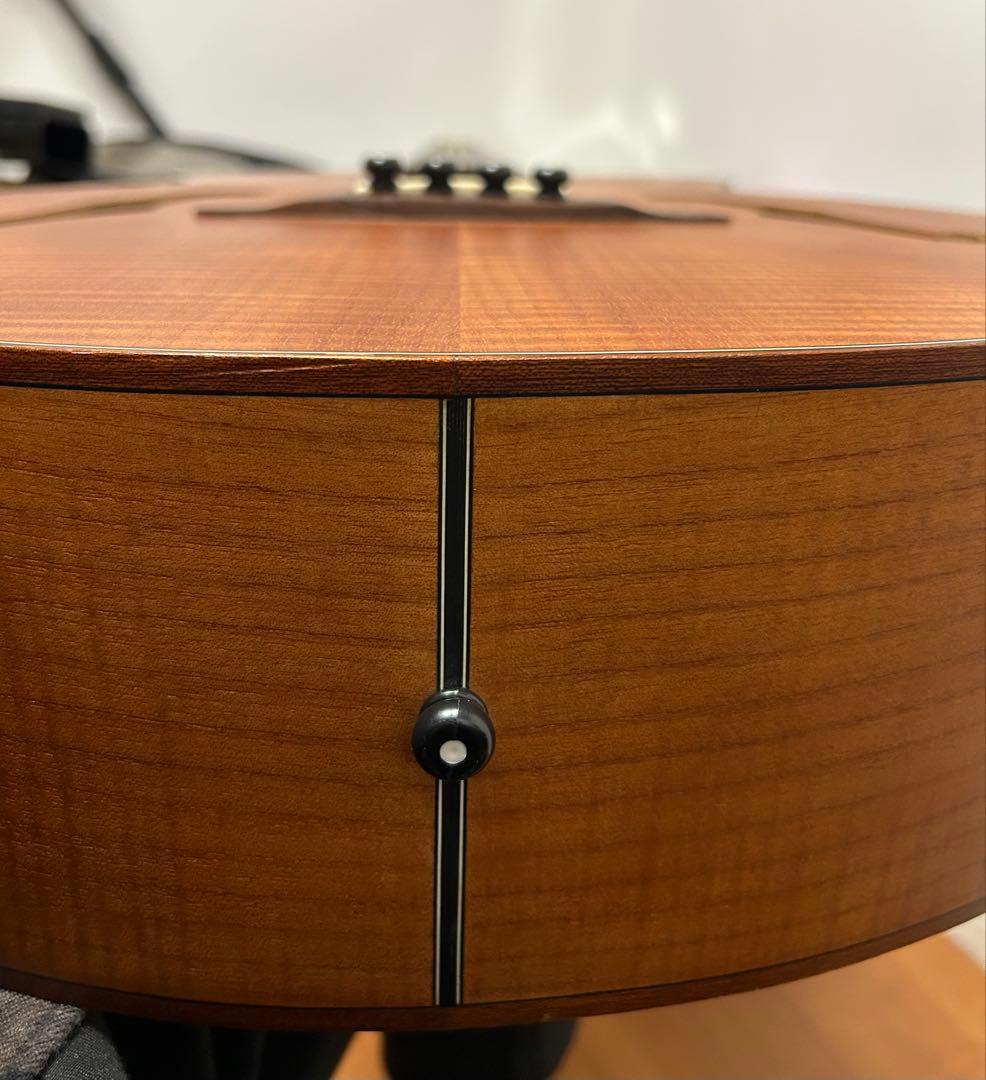 【美品】Aria FEB-FL エレアコベース　フレットレス