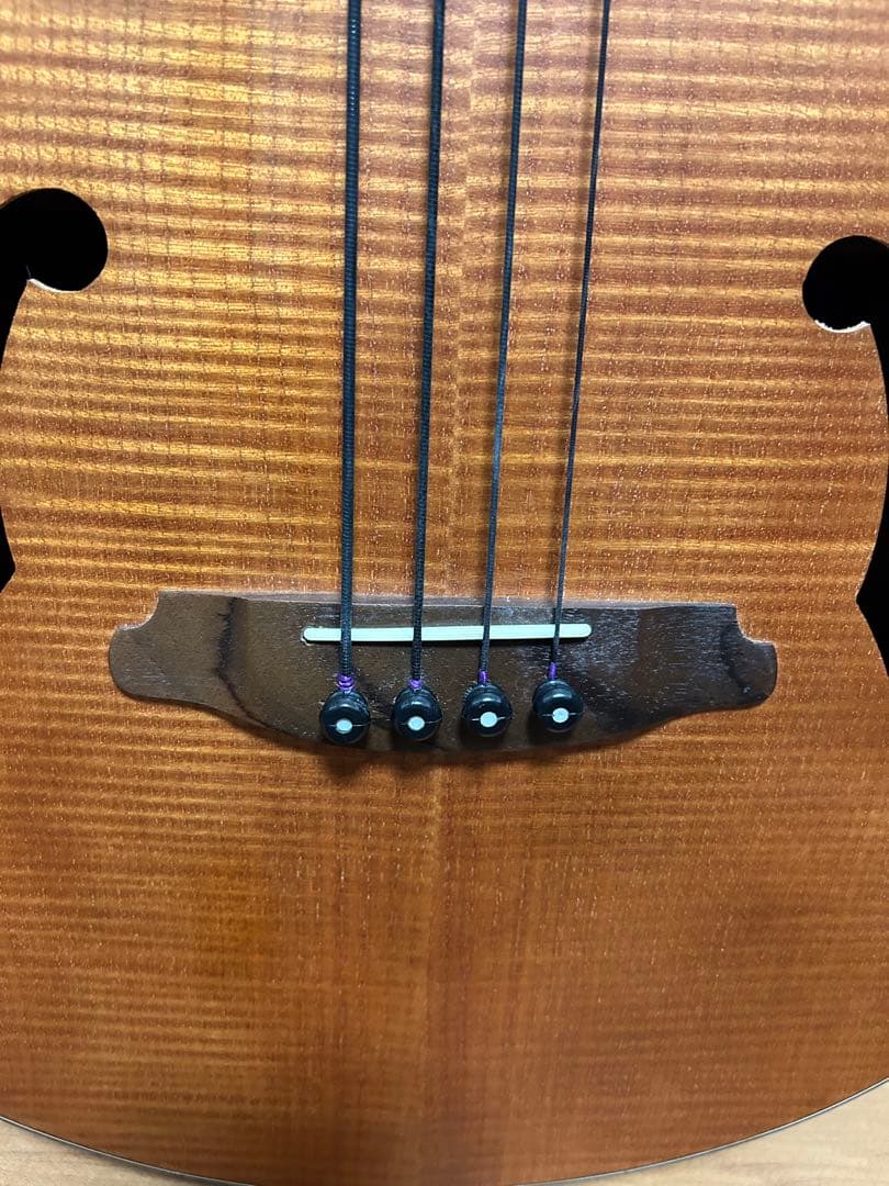 【美品】Aria FEB-FL エレアコベース　フレットレス