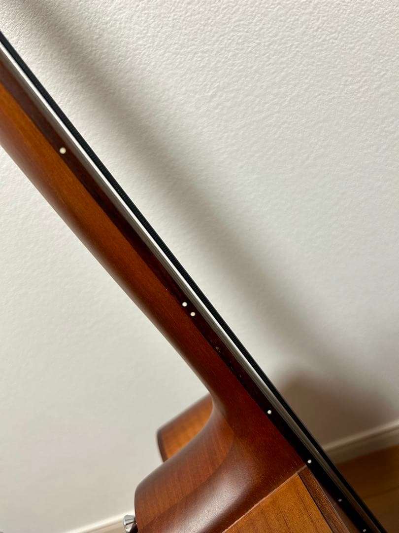 【美品】Aria FEB-FL エレアコベース　フレットレス