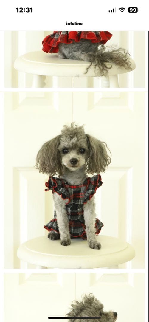 Atelier gg Winter Love  Mary  ブラック21size