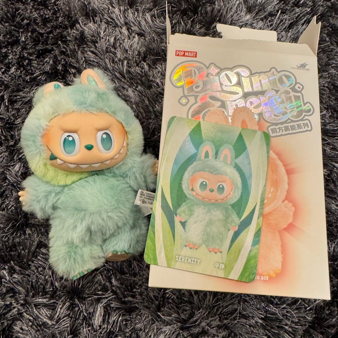 ビックイントゥエナジー 全5点セット