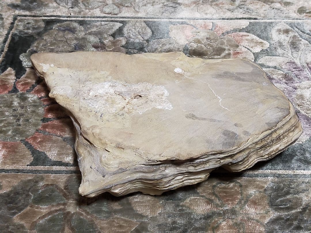 ♥中国　大型　硯　骨董品