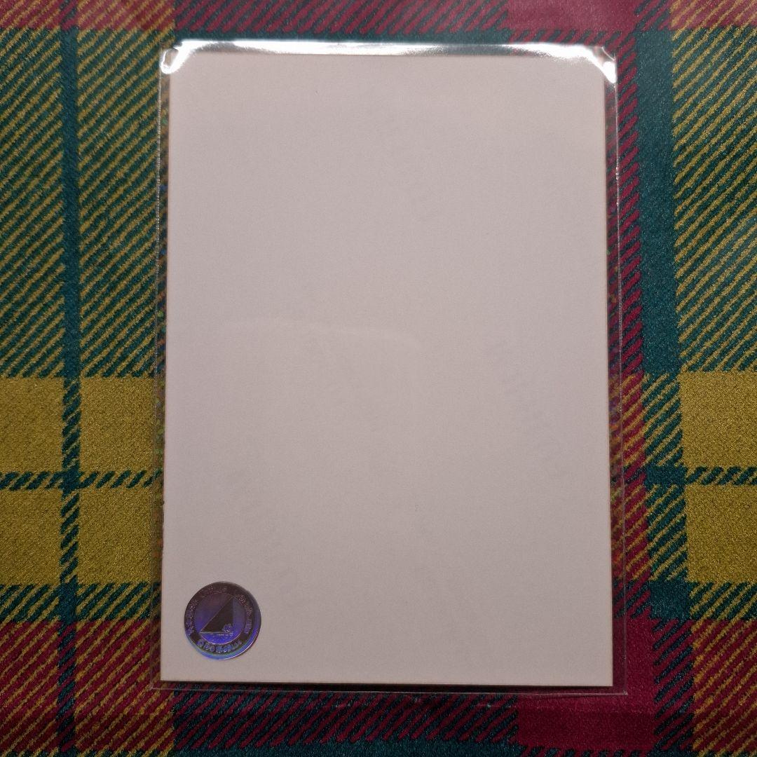 た*ー様 【直筆(自引き品)】 川﨑桜 ハロウィン