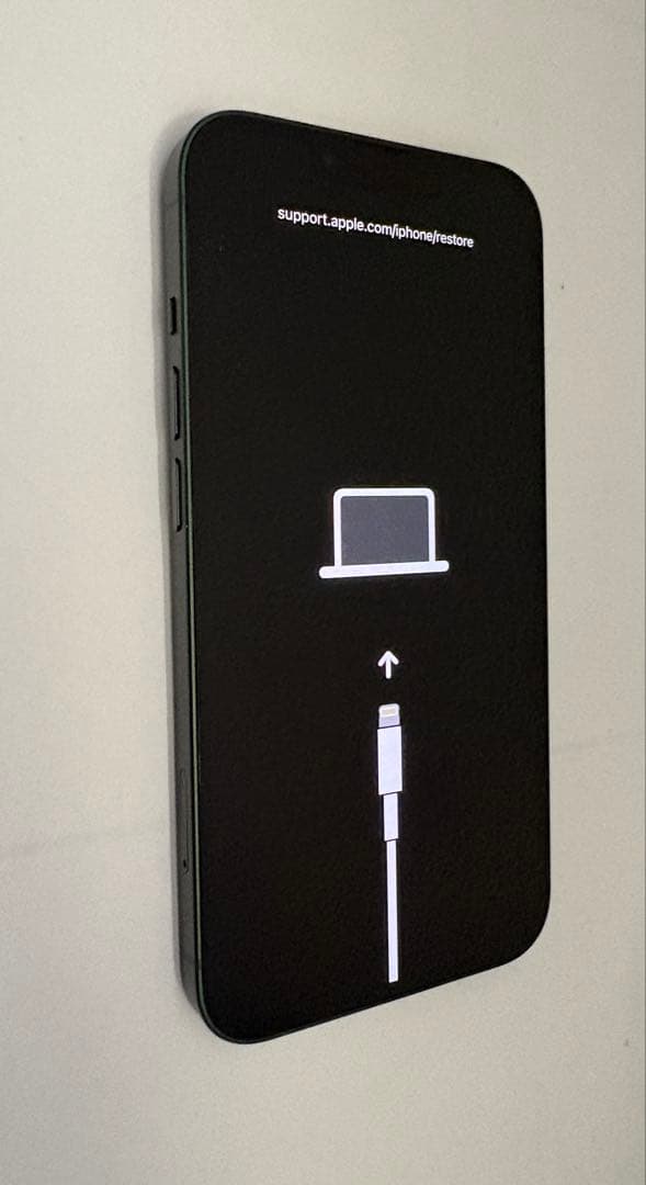 ジャンク iPhone13 起動不可 エラー9 美品