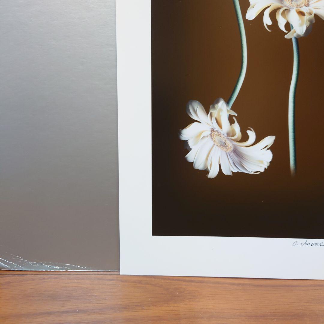 井上治（Osamu Inoue）4518＋4519　静物　フォトアート　作品