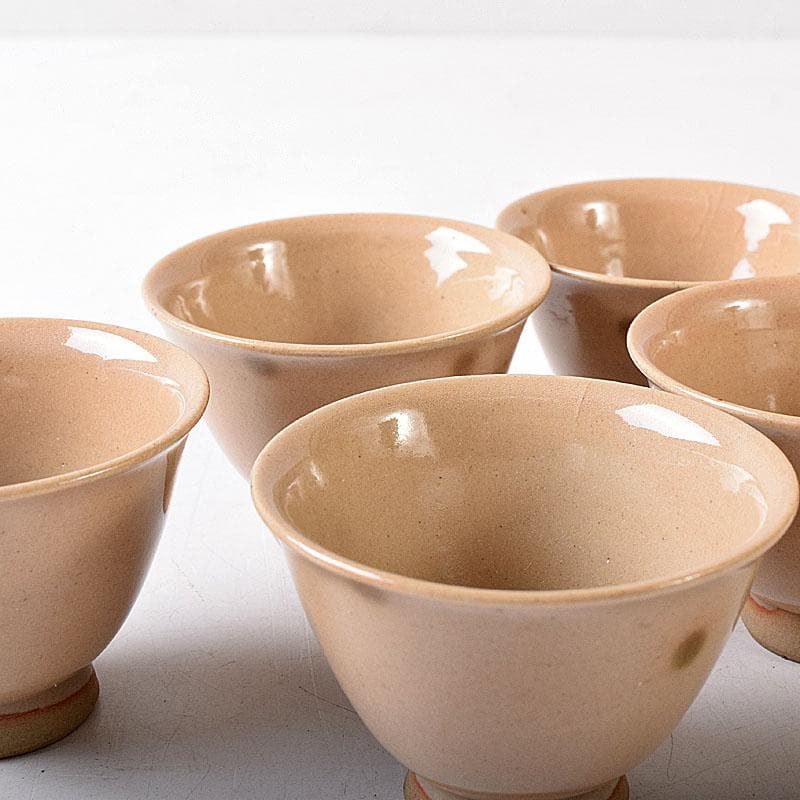 煎茶道具　虫明焼　煎茶器　5客　時代箱　V　8257