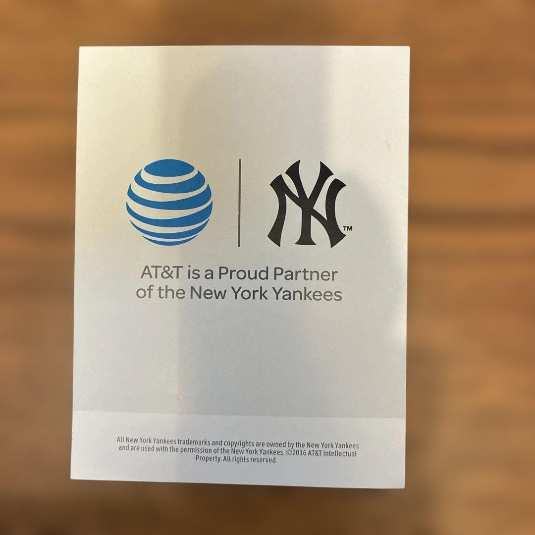 DIDI GREGORIUS ボブルヘッド コレクション#3