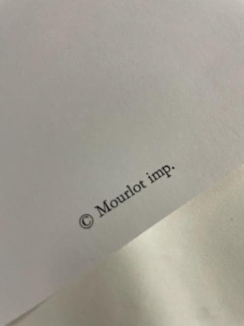 特別額装品/マット仕様/インテリア/虹と鳩/パブロ ピカソ/アートポスター