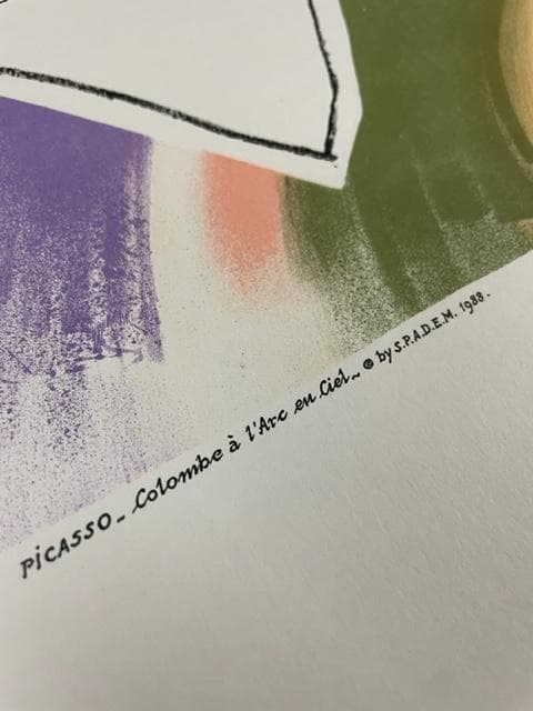 特別額装品/マット仕様/インテリア/虹と鳩/パブロ ピカソ/アートポスター
