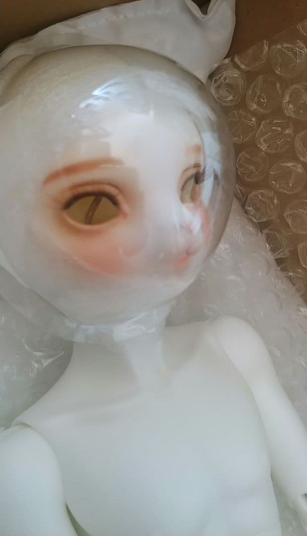 【DOLK×DEAR MINE】ARTHUR L. 文豪 Limited　文豪猫